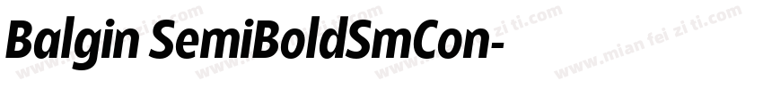 Balgin SemiBoldSmCon字体转换
